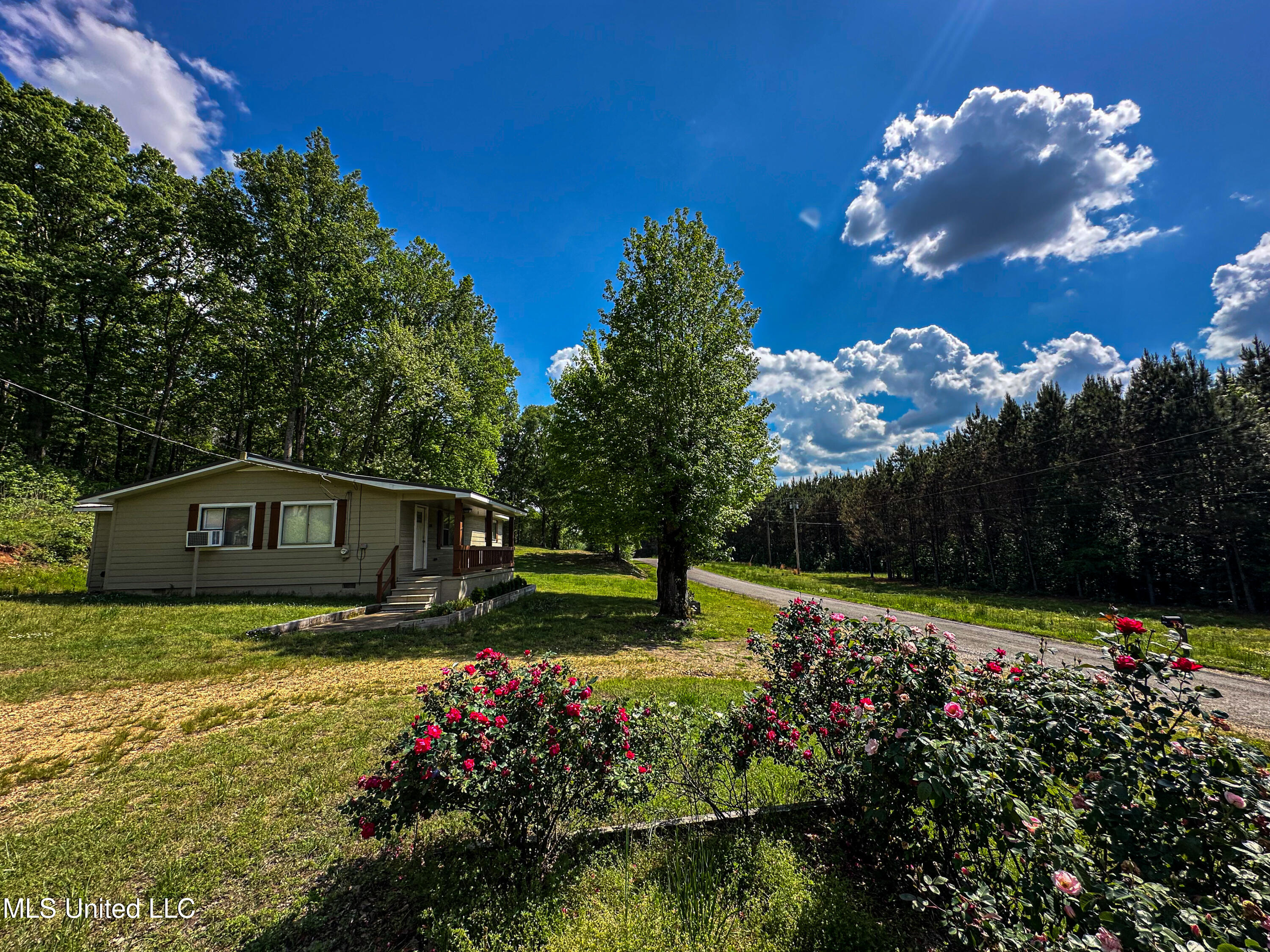 2270 State Line Road Tremont, MS 38876 - Photo 11 of 117 IMG_3830