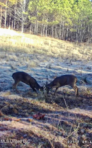 $325,000 | 2270 State Line Road, Tremont, MS 38876