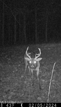 $325,000 | 2270 State Line Road, Tremont, MS 38876