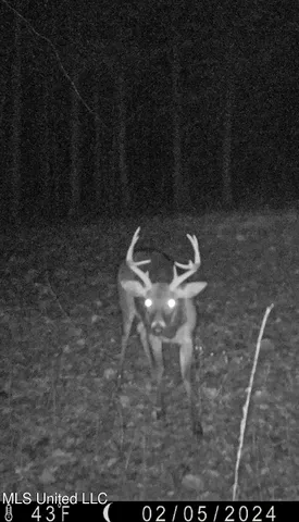 $325,000 | 2270 State Line Road, Tremont, MS 38876