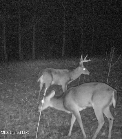 $325,000 | 2270 State Line Road, Tremont, MS 38876