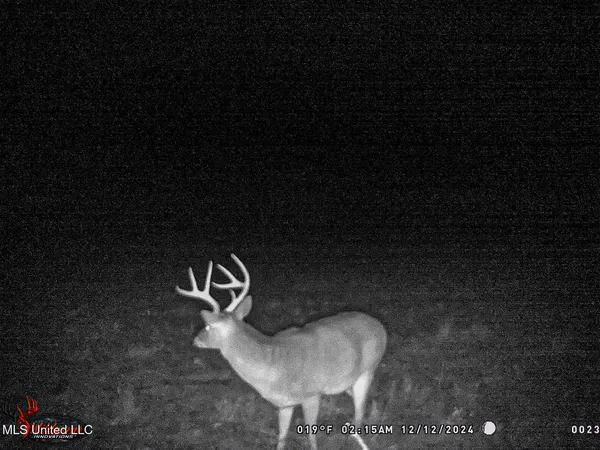 $325,000 | 2270 State Line Road, Tremont, MS 38876