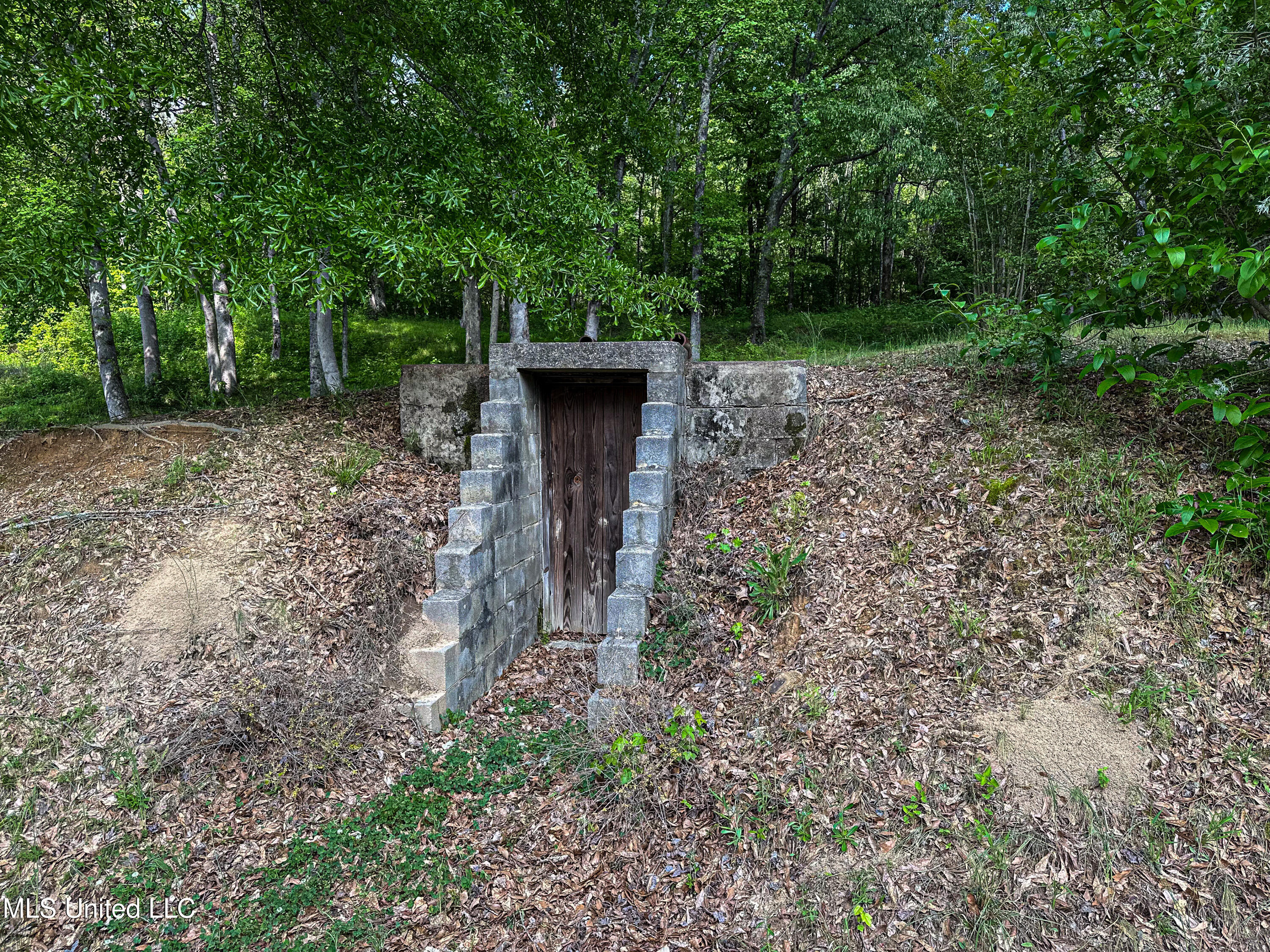 2270 State Line Road Tremont, MS 38876 - Photo 115 of 117 IMG_3850