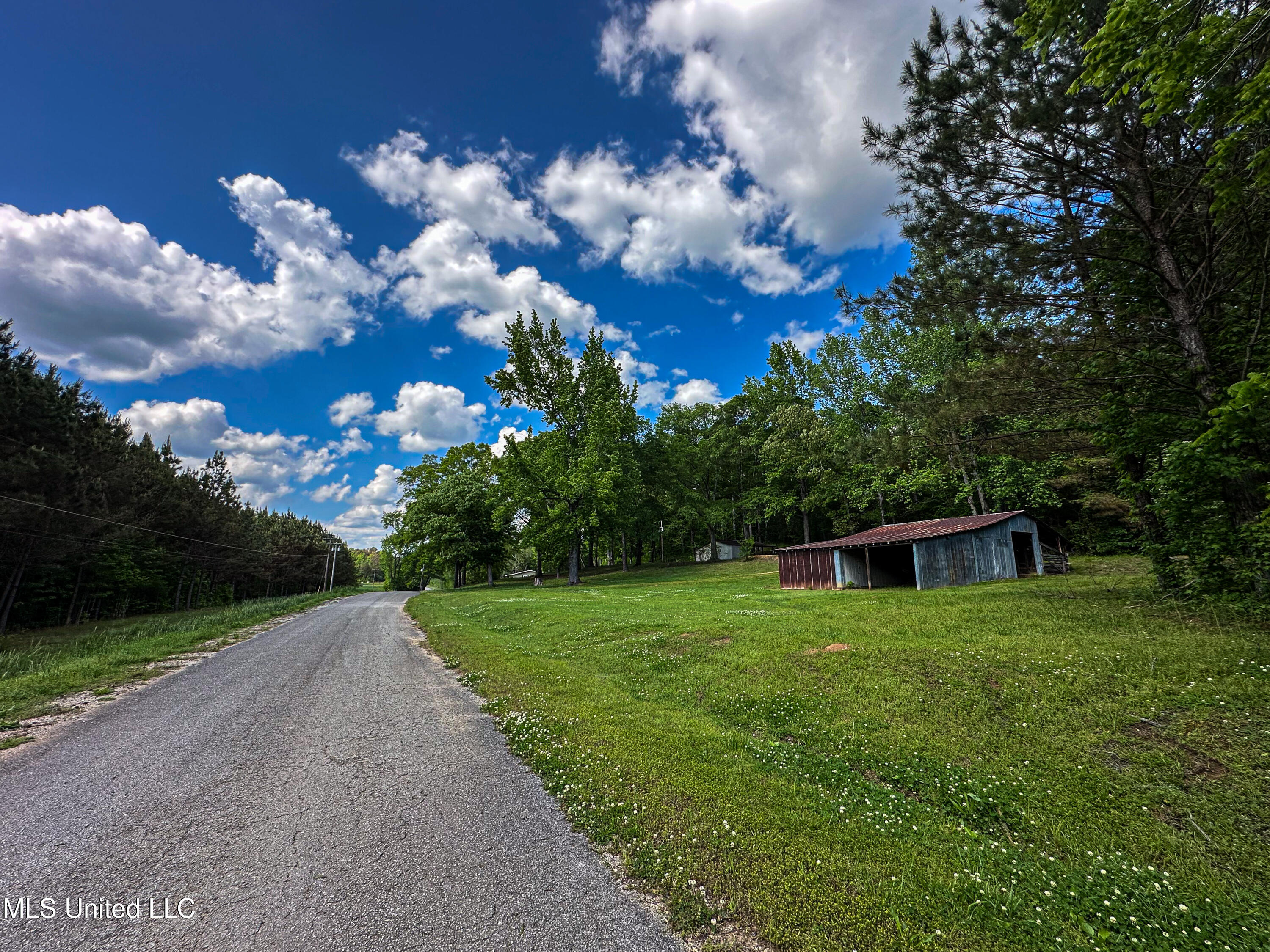2270 State Line Road Tremont, MS 38876 - Photo 13 of 117 IMG_3822
