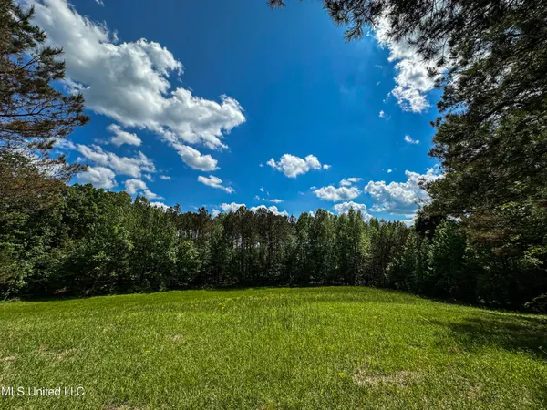 $325,000 | 2270 State Line Road, Tremont, MS 38876