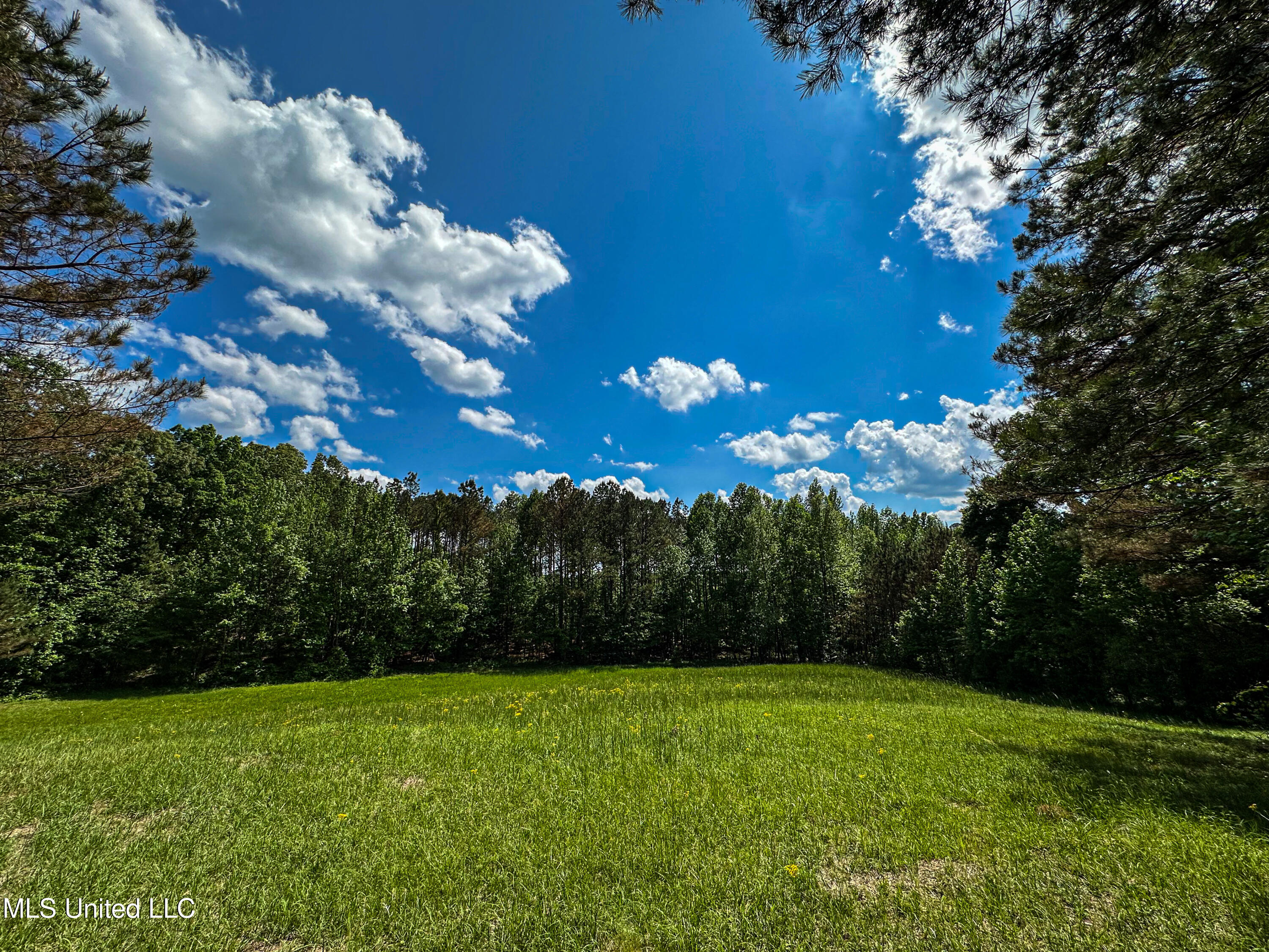 2270 State Line Road Tremont, MS 38876 - Photo 15 of 117 IMG_3777