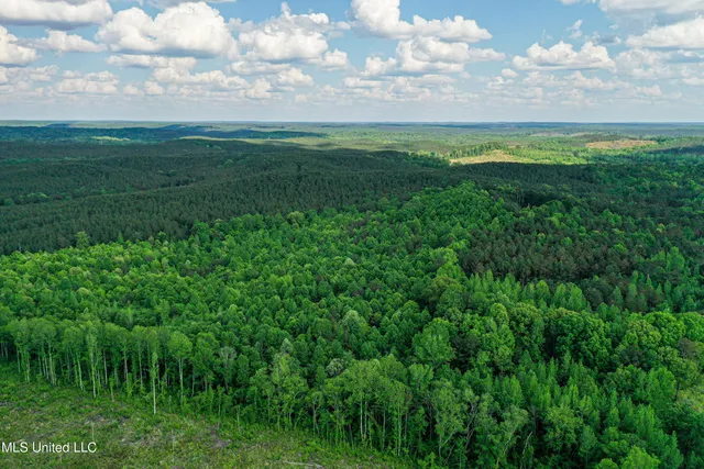 $325,000 | 2270 State Line Road, Tremont, MS 38876