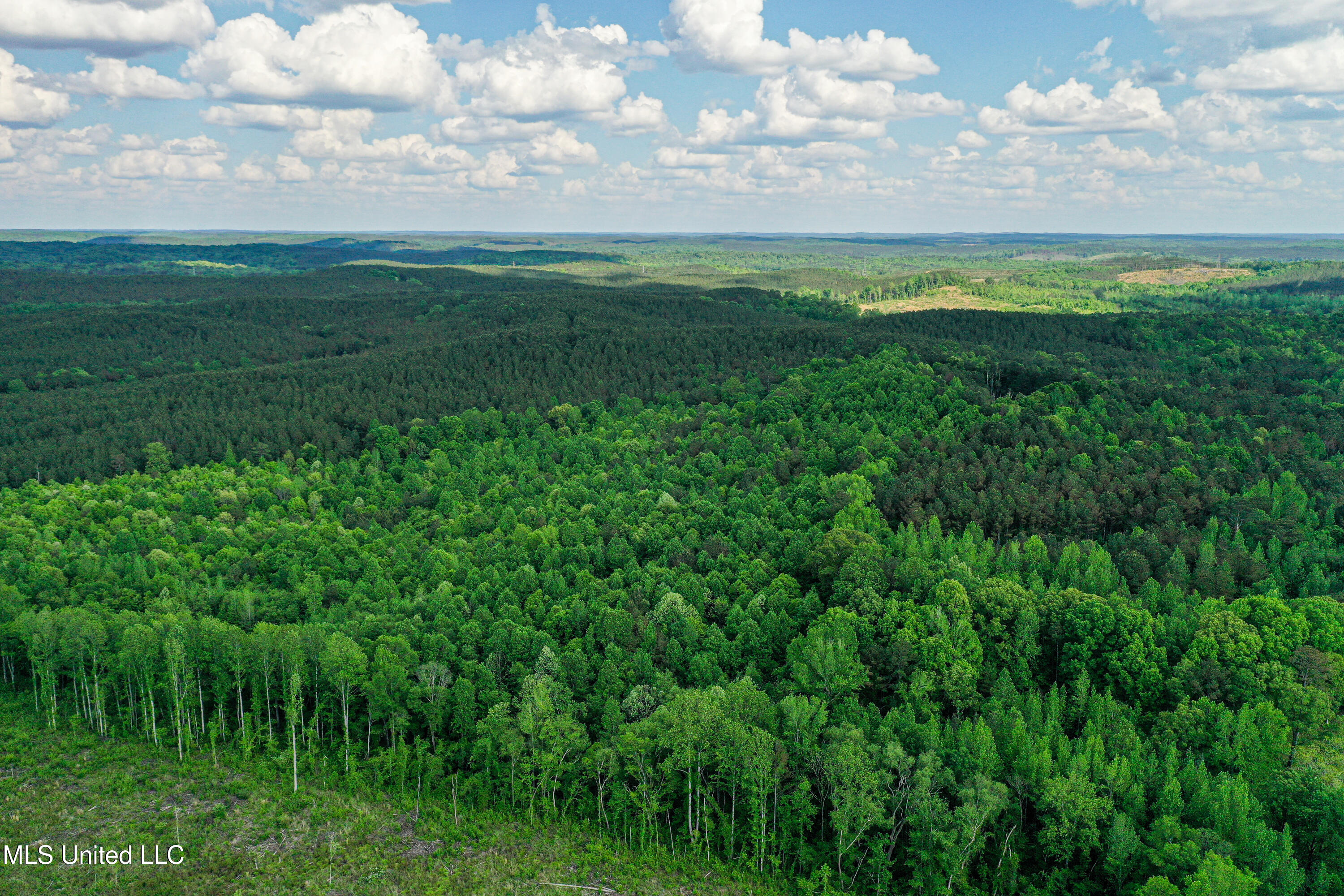 2270 State Line Road Tremont, MS 38876 - Photo 16 of 117 DJI_0077