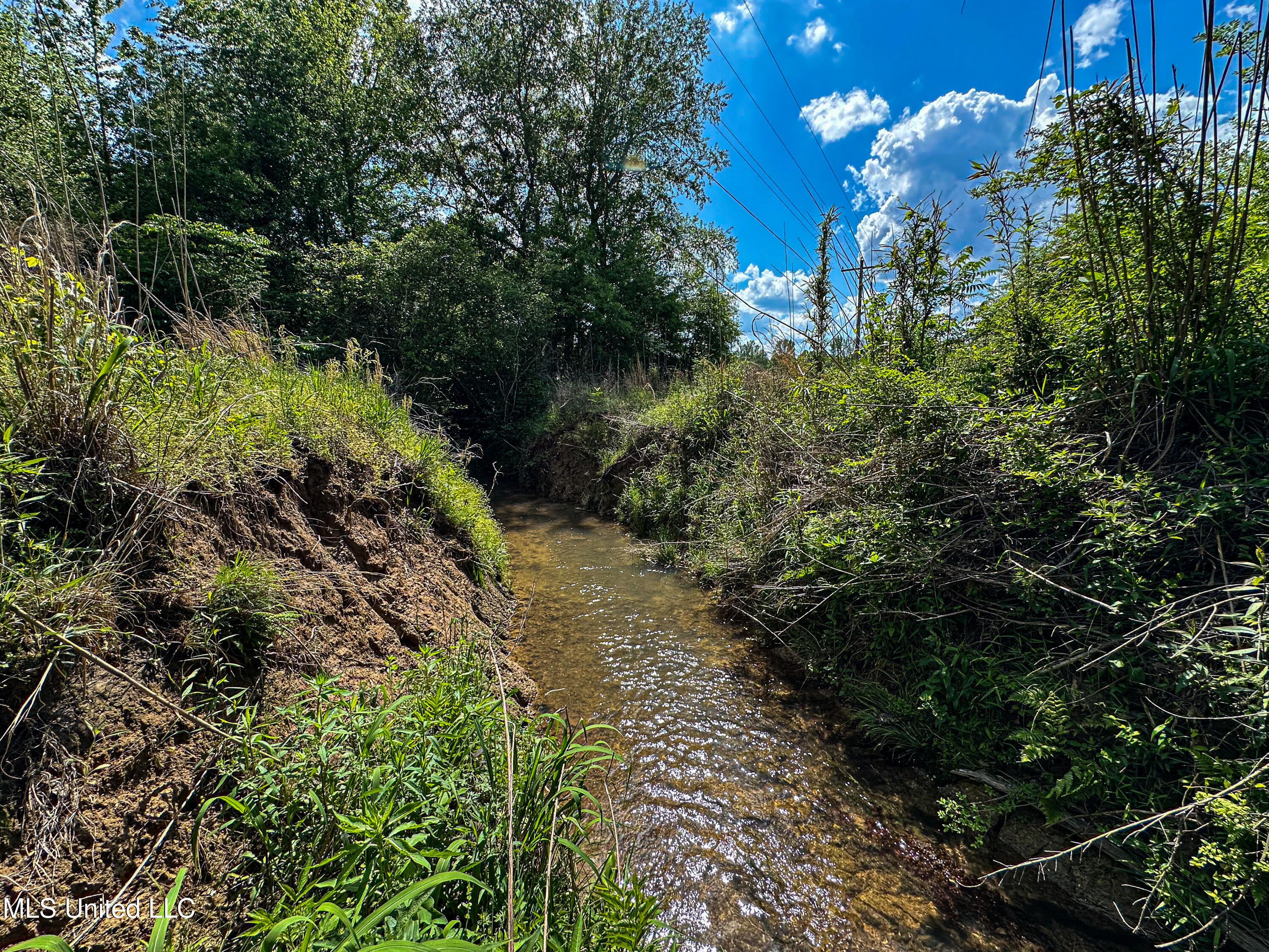2270 State Line Road Tremont, MS 38876 - Photo 18 of 117 IMG_3811