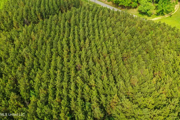 $325,000 | 2270 State Line Road, Tremont, MS 38876