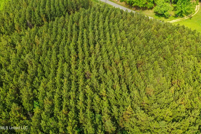 $325,000 | 2270 State Line Road, Tremont, MS 38876