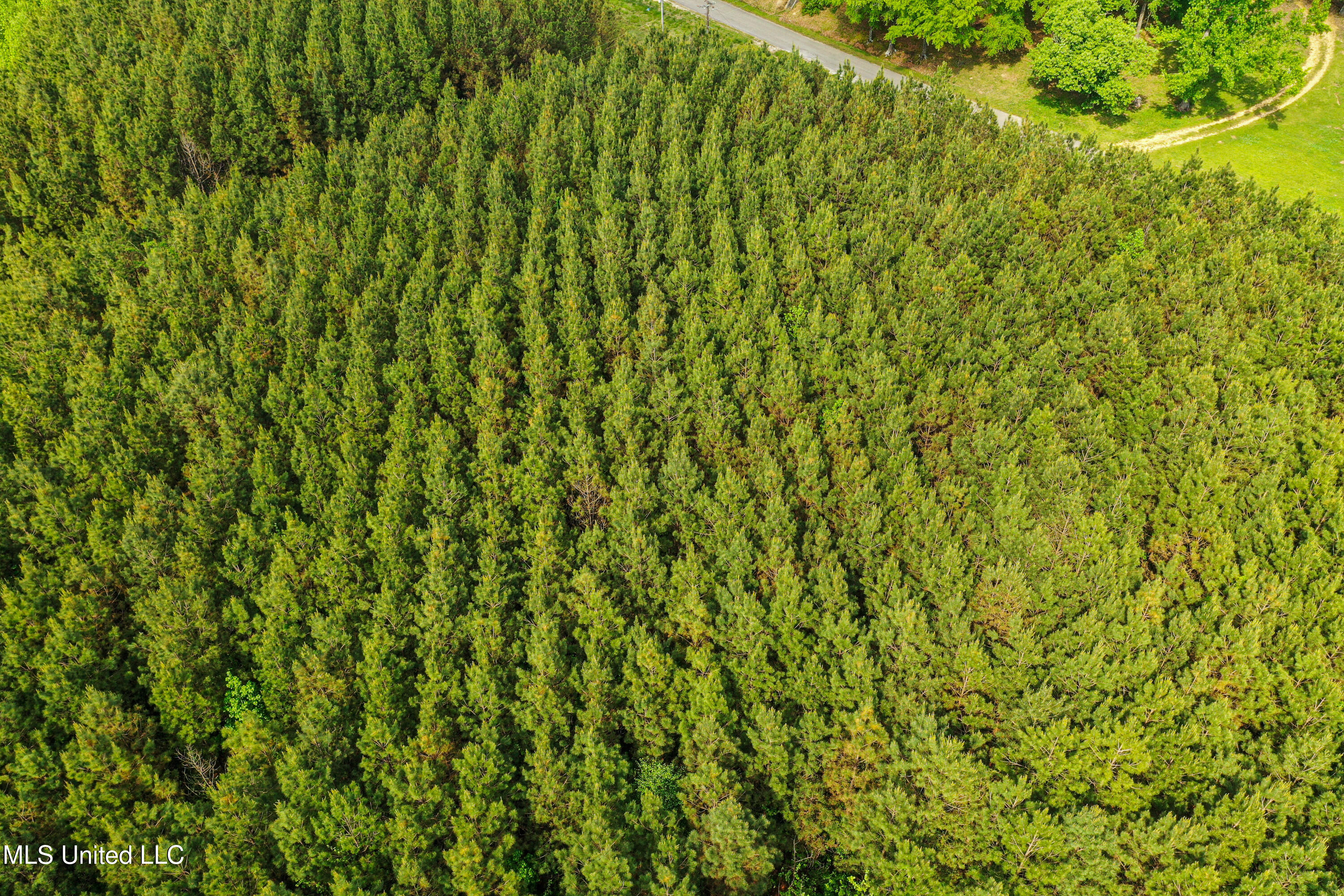 2270 State Line Road Tremont, MS 38876 - Photo 19 of 117 DJI_0081