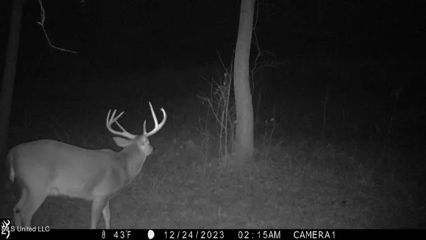 $325,000 | 2270 State Line Road, Tremont, MS 38876