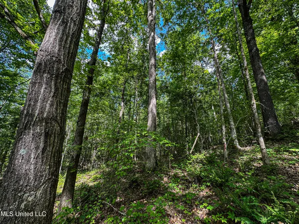 $325,000 | 2270 State Line Road, Tremont, MS 38876