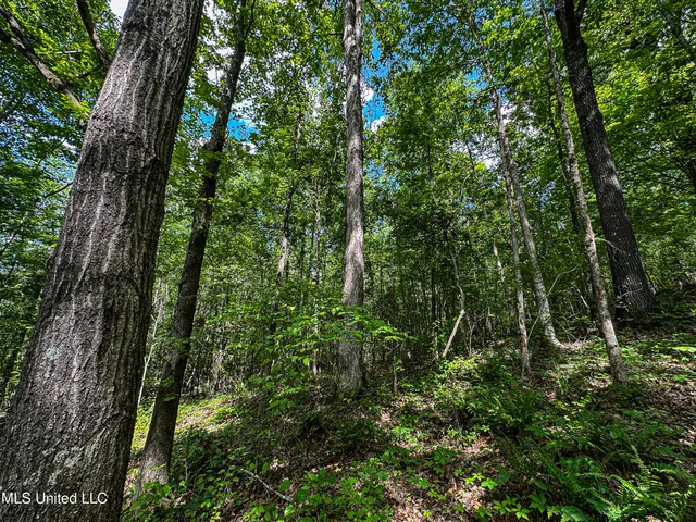 $325,000 | 2270 State Line Road, Tremont, MS 38876