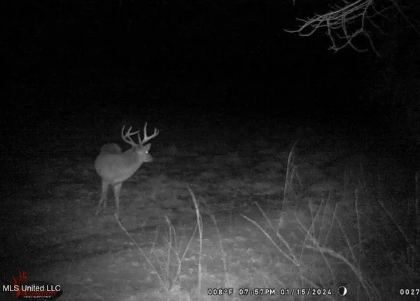 $325,000 | 2270 State Line Road, Tremont, MS 38876