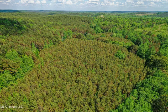 $325,000 | 2270 State Line Road, Tremont, MS 38876