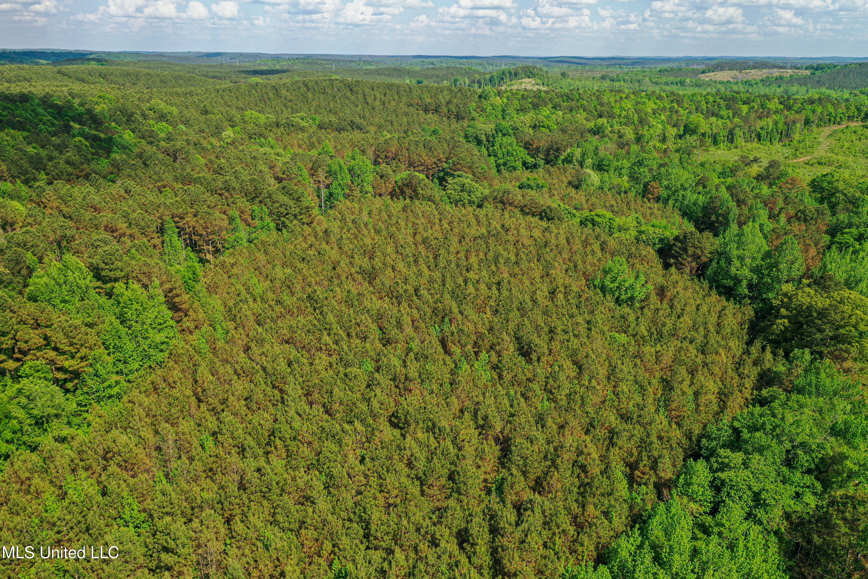 2270 State Line Road Tremont, MS 38876 - Photo 23 of 117 DJI_0082