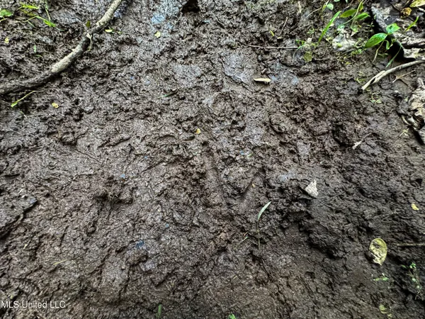 $325,000 | 2270 State Line Road, Tremont, MS 38876