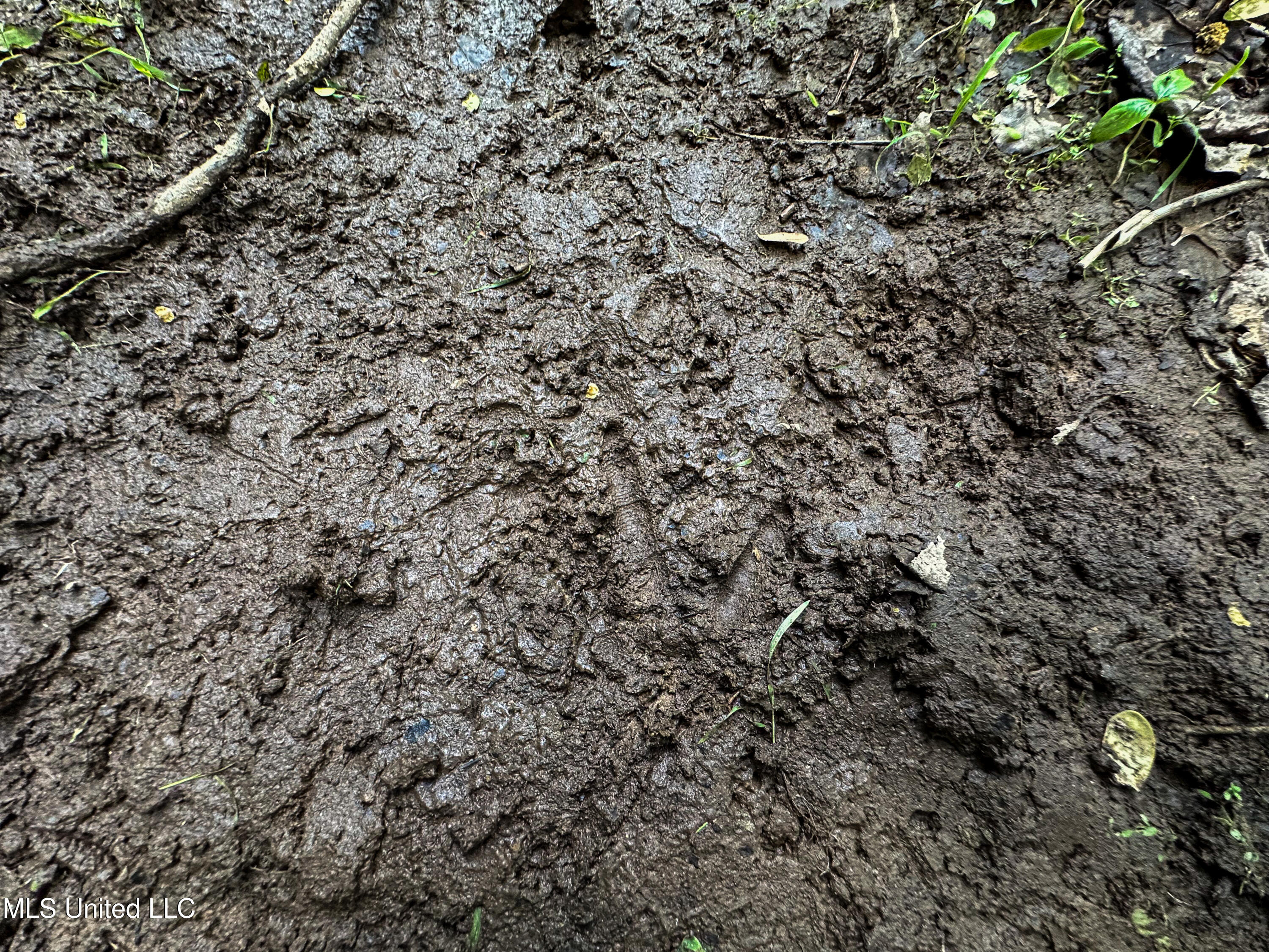 2270 State Line Road Tremont, MS 38876 - Photo 24 of 117 IMG_3804