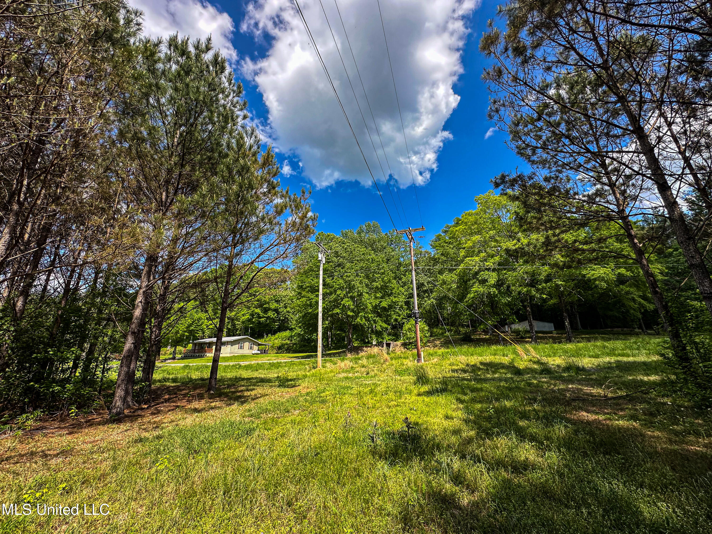 2270 State Line Road Tremont, MS 38876 - Photo 26 of 117 IMG_3819