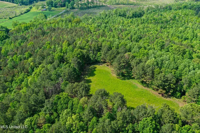 $325,000 | 2270 State Line Road, Tremont, MS 38876