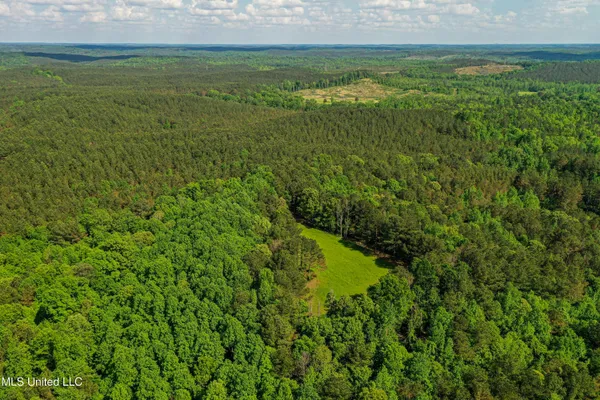 $325,000 | 2270 State Line Road, Tremont, MS 38876