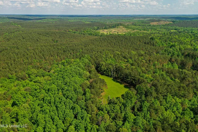 $325,000 | 2270 State Line Road, Tremont, MS 38876