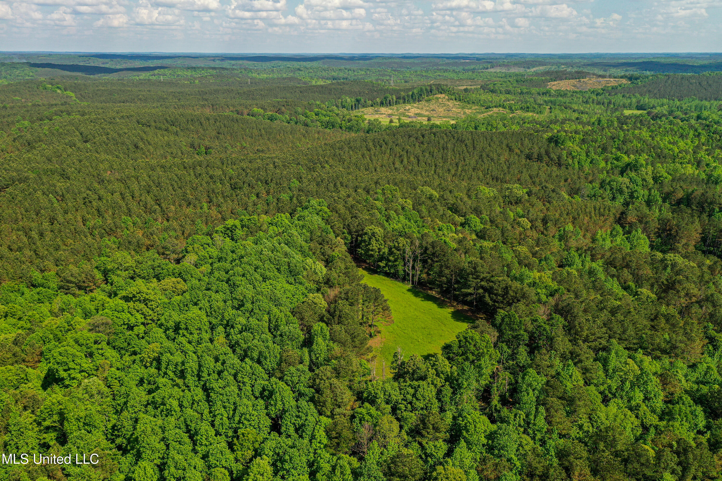 2270 State Line Road Tremont, MS 38876 - Photo 29 of 117 DJI_0090