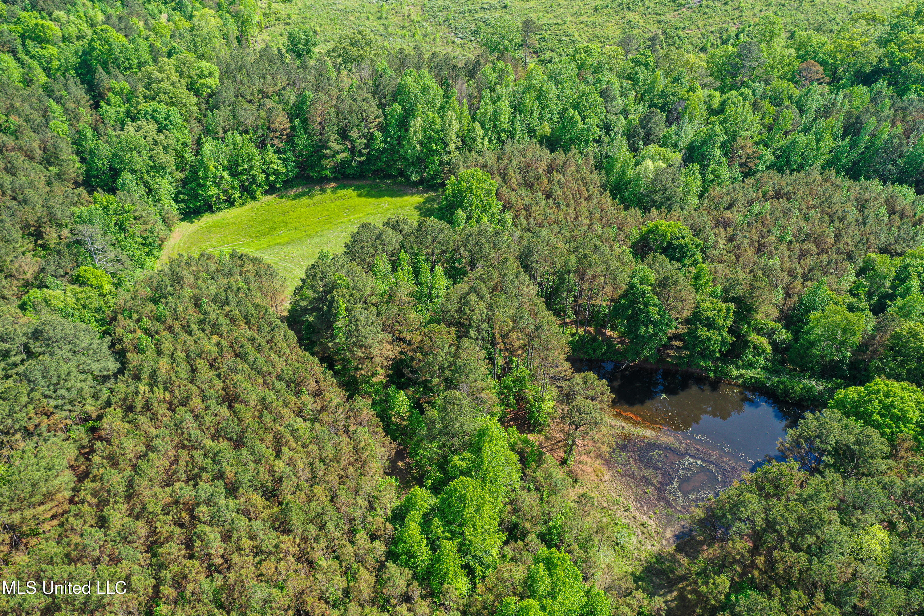 2270 State Line Road Tremont, MS 38876 - Photo 3 of 117 DJI_0084