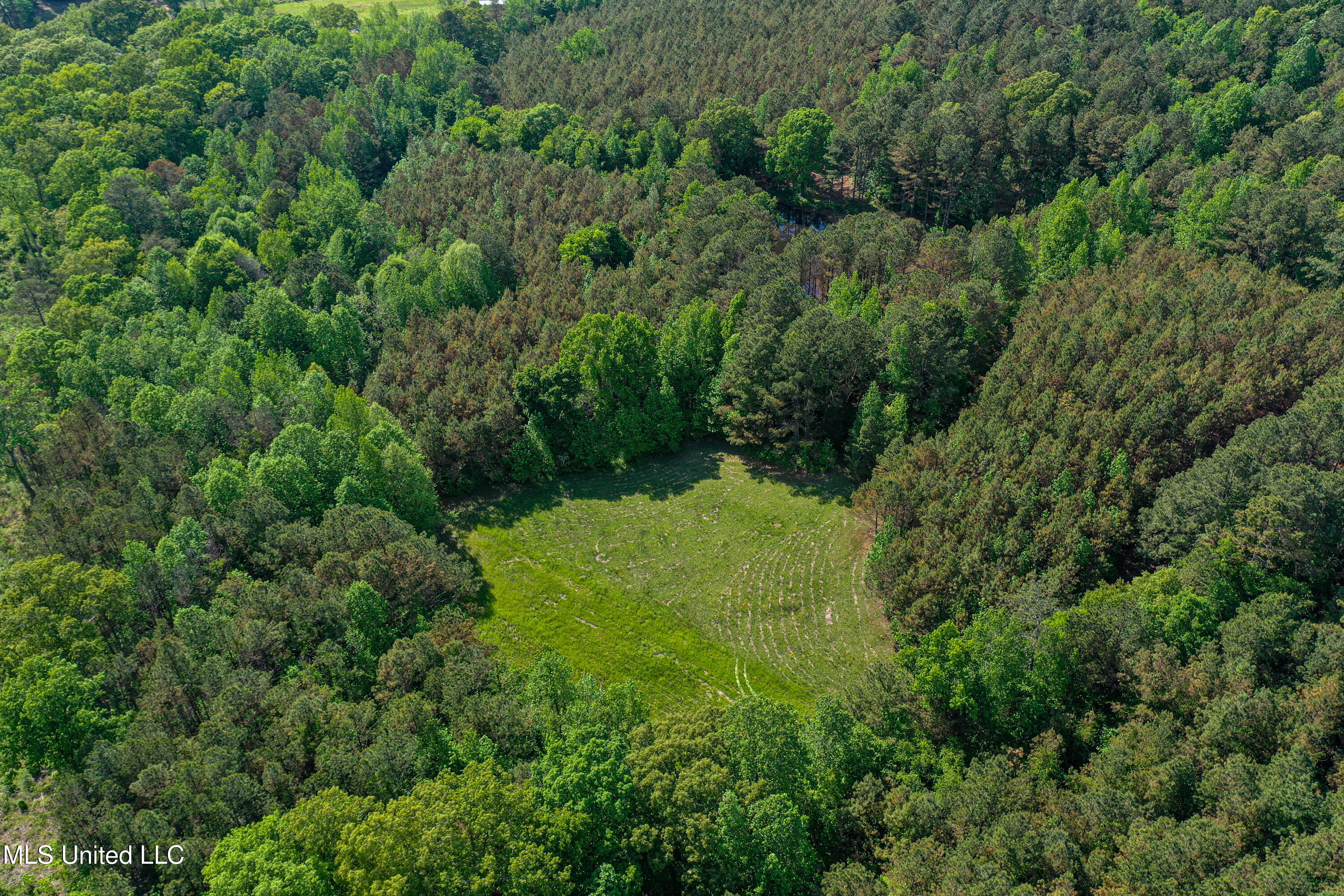 2270 State Line Road Tremont, MS 38876 - Photo 31 of 117 DJI_0094