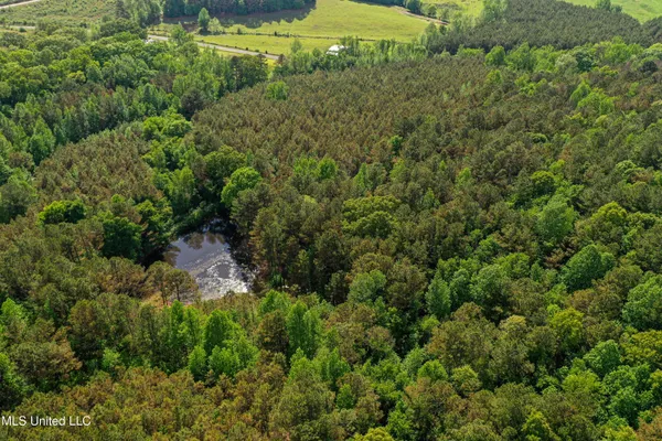 $325,000 | 2270 State Line Road, Tremont, MS 38876