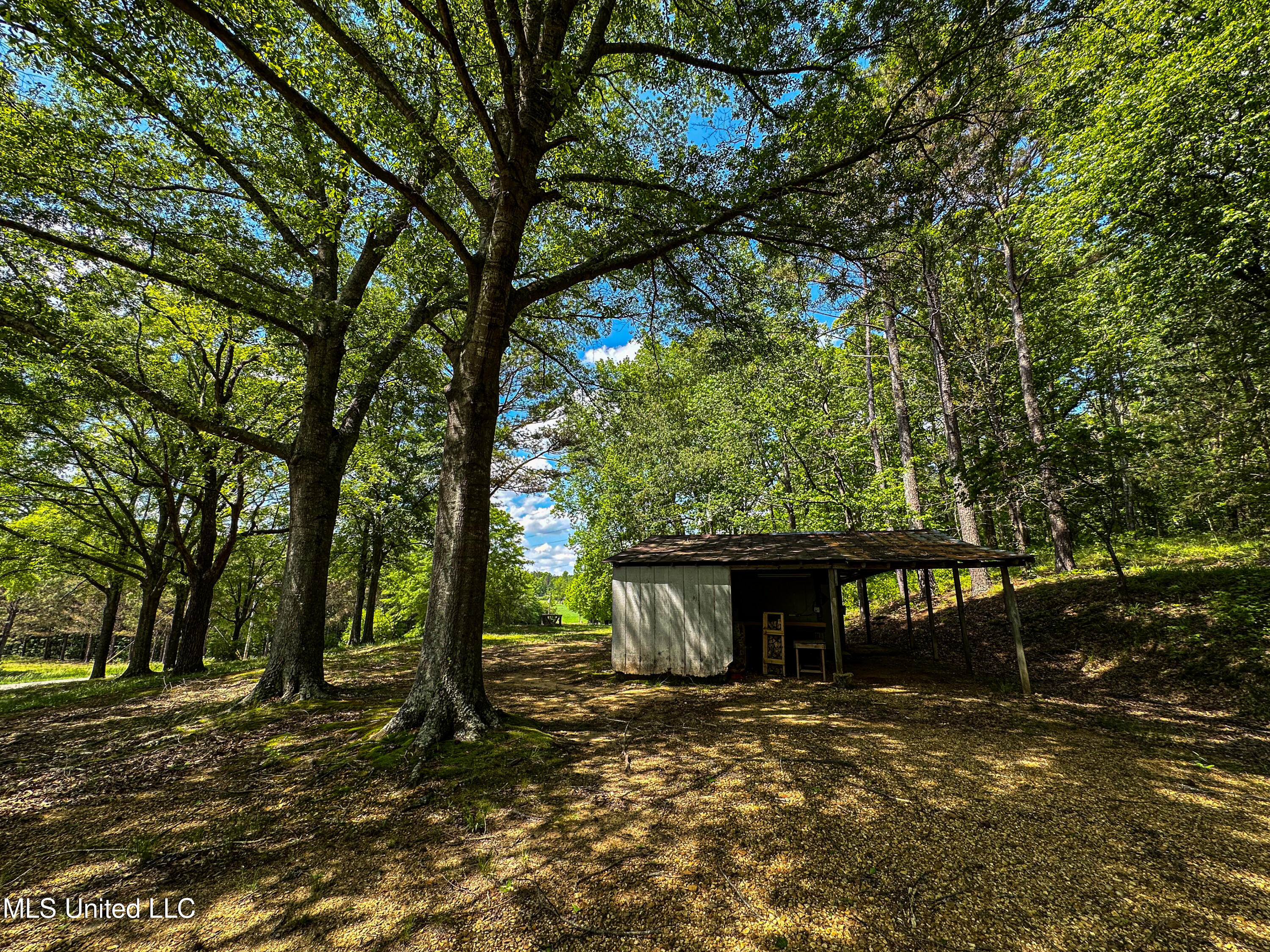 2270 State Line Road Tremont, MS 38876 - Photo 39 of 117 IMG_3760