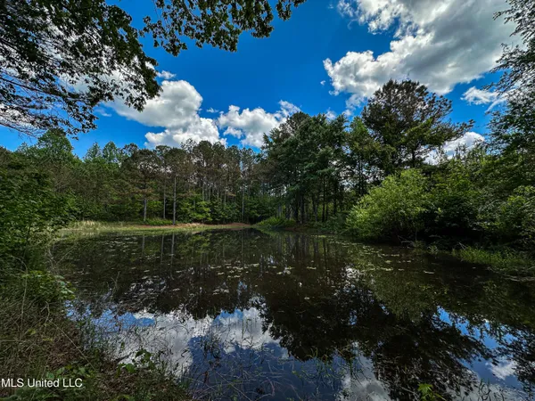 $325,000 | 2270 State Line Road, Tremont, MS 38876