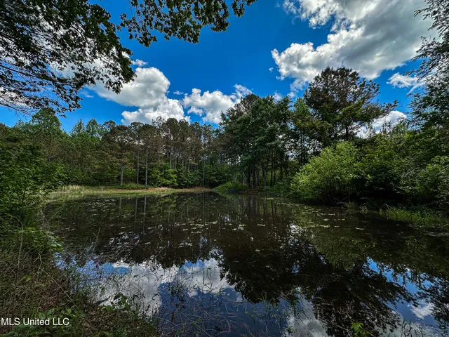 $325,000 | 2270 State Line Road, Tremont, MS 38876