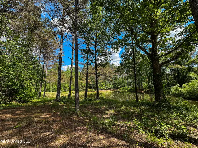 $325,000 | 2270 State Line Road, Tremont, MS 38876