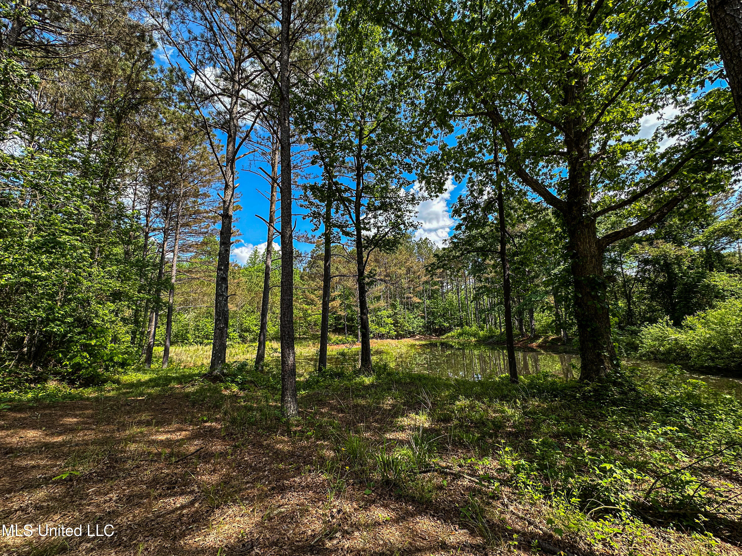 2270 State Line Road Tremont, MS 38876 - Photo 47 of 117 IMG_3769