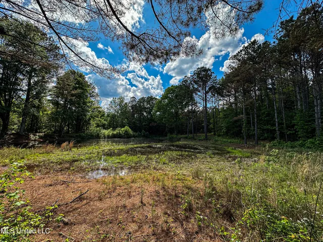 $325,000 | 2270 State Line Road, Tremont, MS 38876