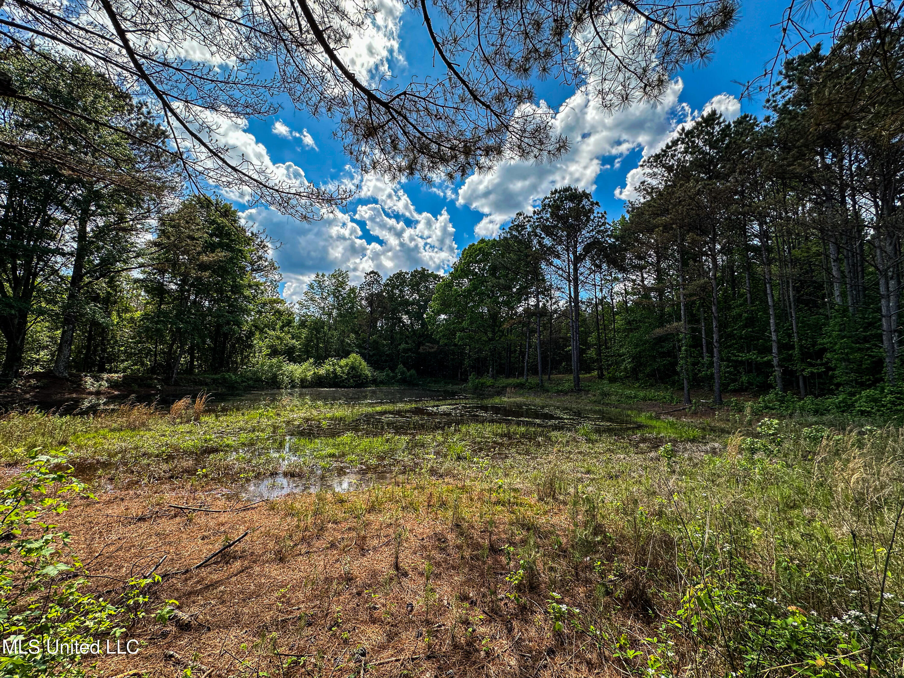 2270 State Line Road Tremont, MS 38876 - Photo 48 of 117 IMG_3770