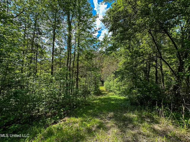 $325,000 | 2270 State Line Road, Tremont, MS 38876