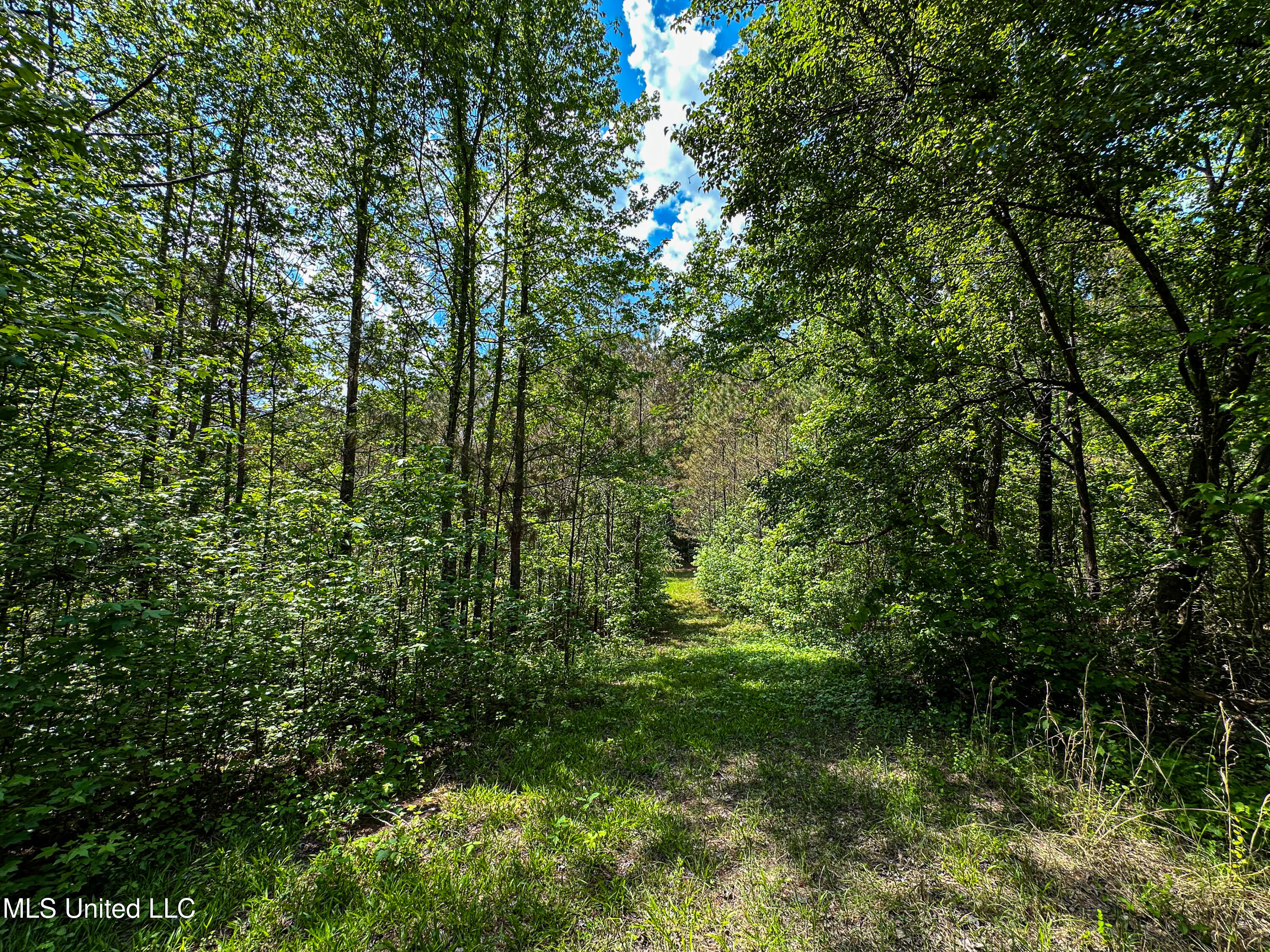 2270 State Line Road Tremont, MS 38876 - Photo 49 of 117 IMG_3772