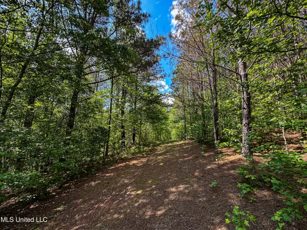 $325,000 | 2270 State Line Road, Tremont, MS 38876