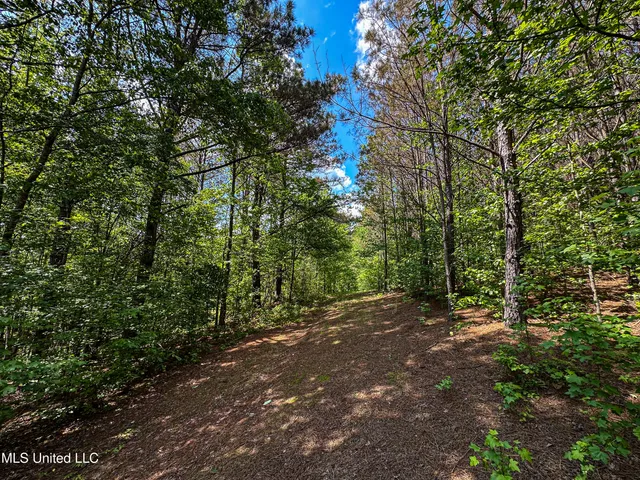 $325,000 | 2270 State Line Road, Tremont, MS 38876