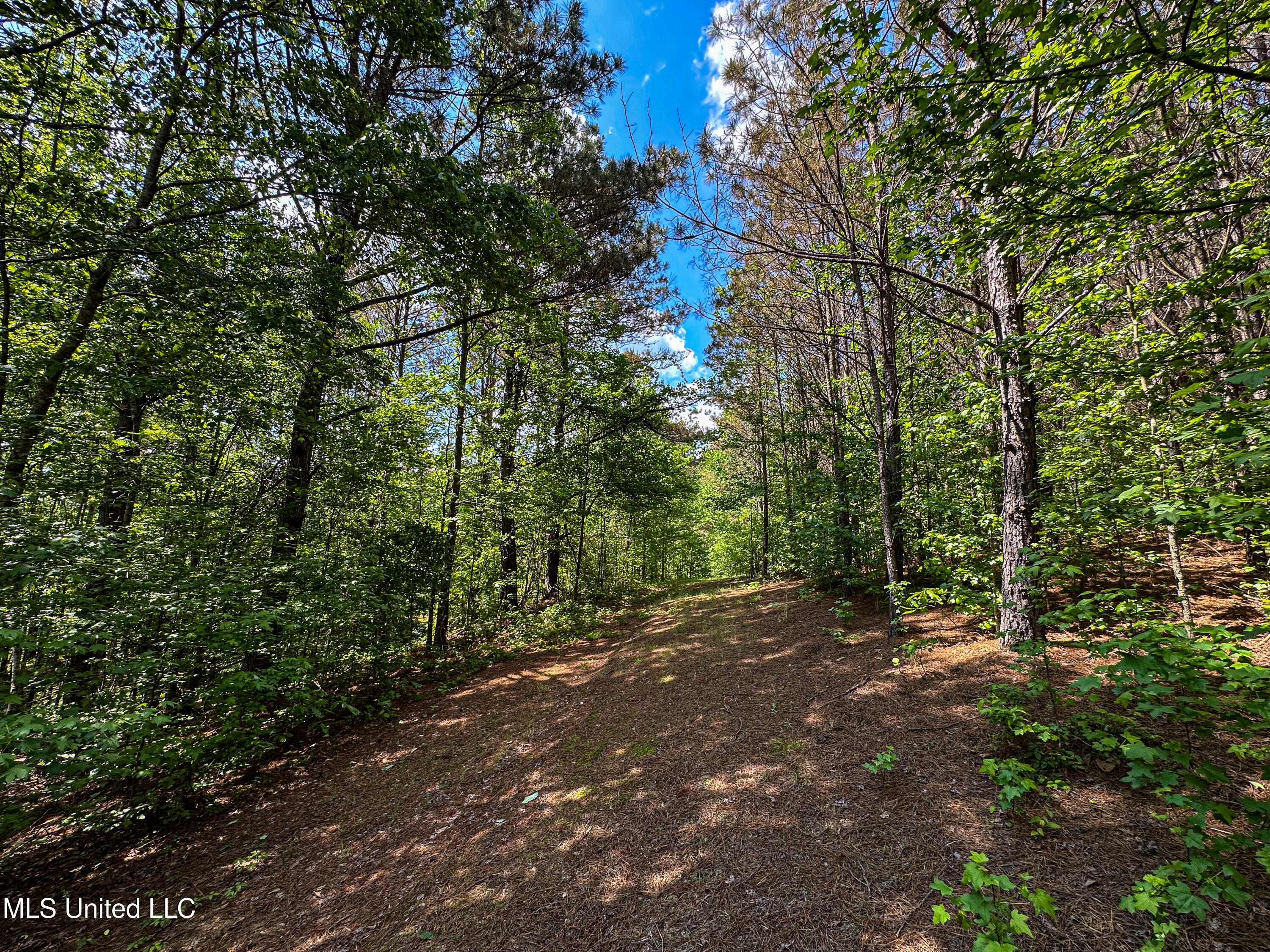 2270 State Line Road Tremont, MS 38876 - Photo 50 of 117 IMG_3774