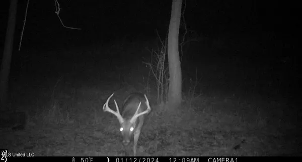 $325,000 | 2270 State Line Road, Tremont, MS 38876