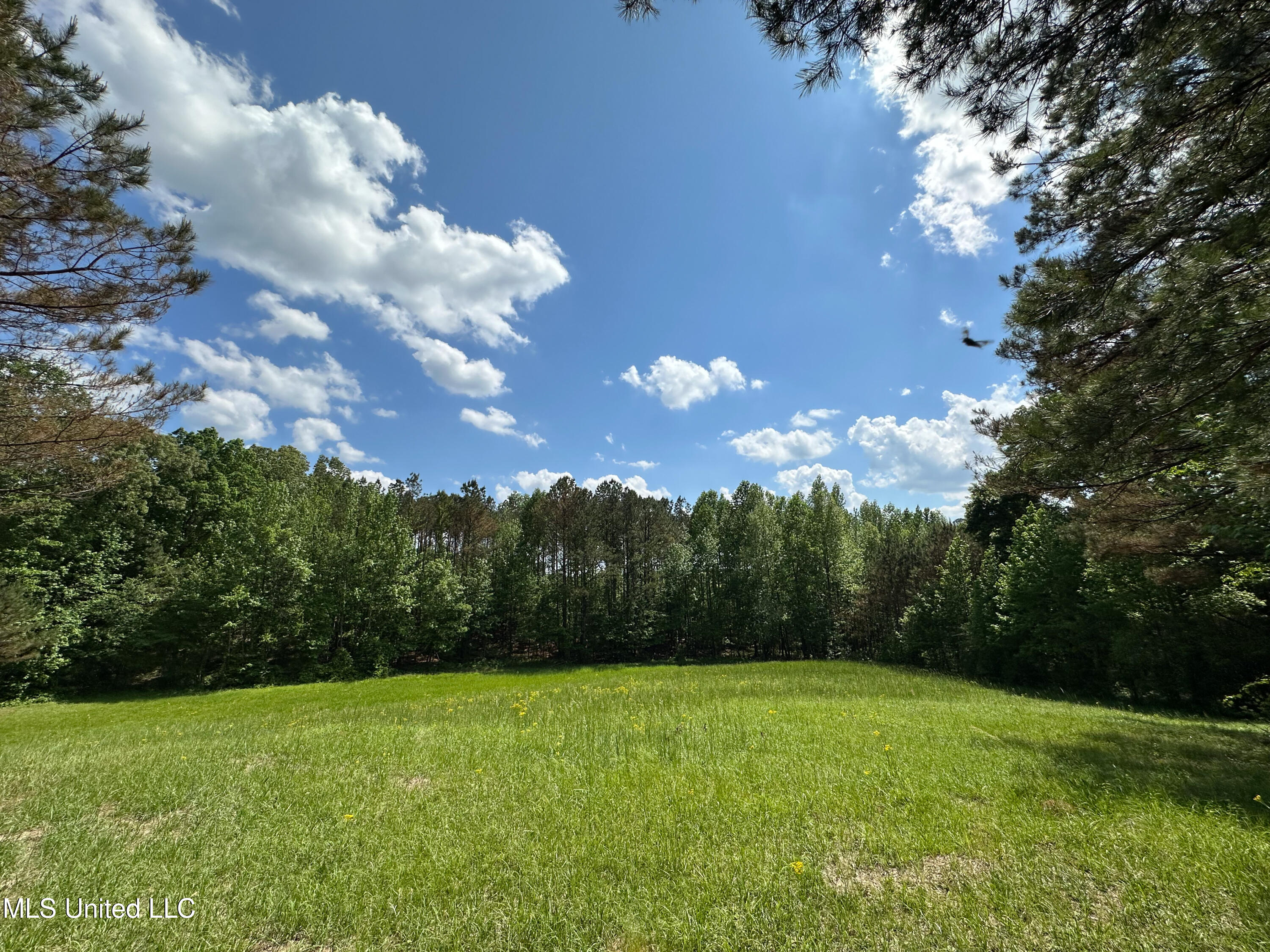 2270 State Line Road Tremont, MS 38876 - Photo 51 of 117 IMG_3775