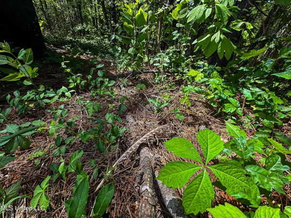 $325,000 | 2270 State Line Road, Tremont, MS 38876