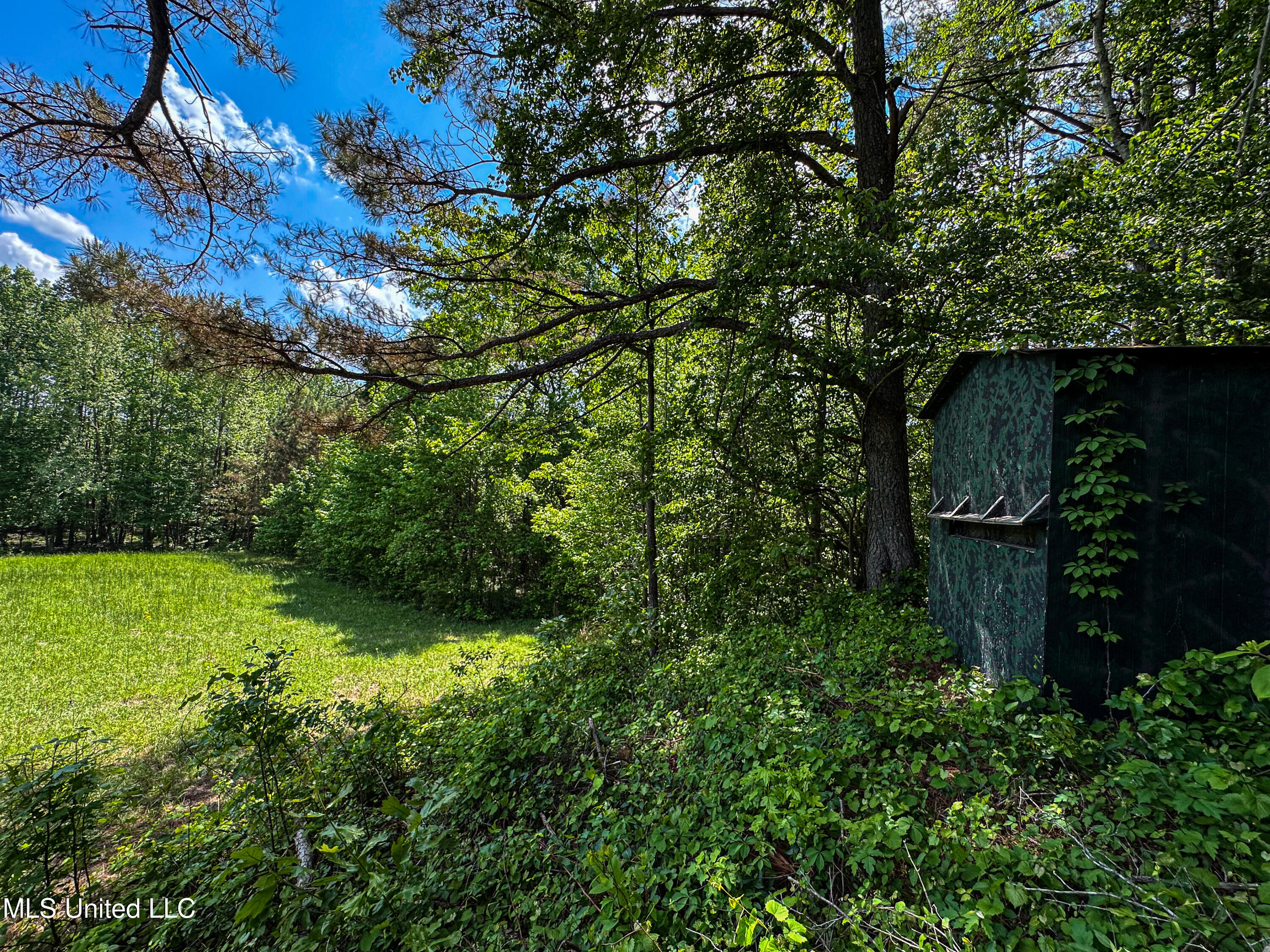 2270 State Line Road Tremont, MS 38876 - Photo 55 of 117 IMG_3781