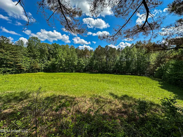 $325,000 | 2270 State Line Road, Tremont, MS 38876