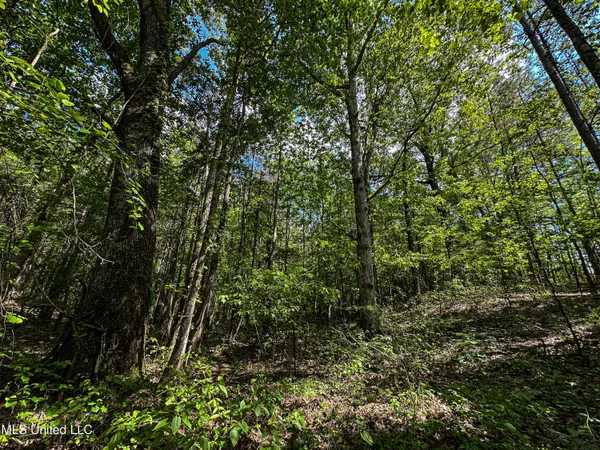 $325,000 | 2270 State Line Road, Tremont, MS 38876